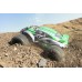 FTX Bugsta 4WD 1/10th Beach Buggy (Brushless) - RTR