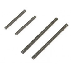 FTX Outlaw / Carnage / Bugsta / Zorro Hinge Pins (Long and Short - 2 Sets)